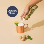 PACK COM 3 ESPUMAS DRINK SABOR GENGIBRE
